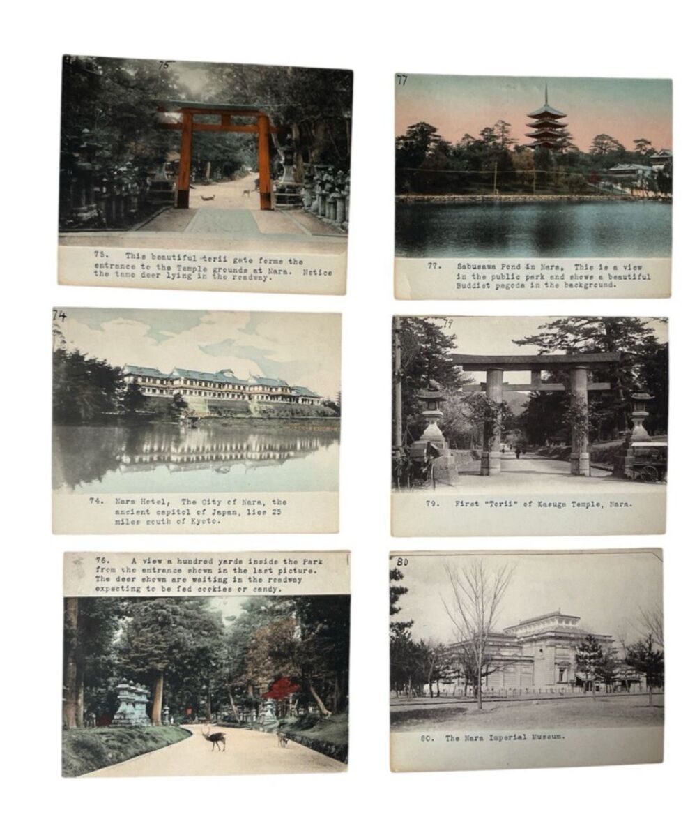 Antique Japanese Pictorial Photo Postcards Nara c1910 Hand-tinted Mounted - 6
